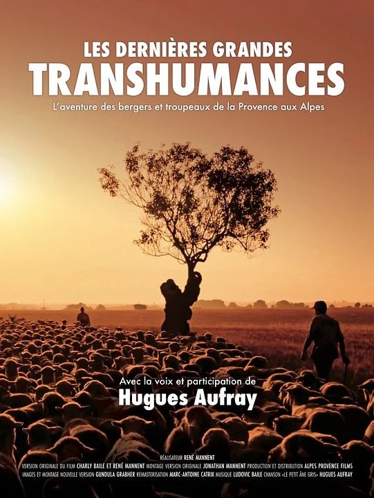 Les Dernières grandes Transhumances (2025)