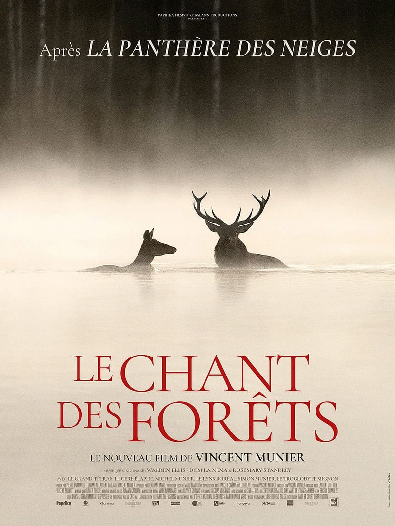 Le Chant des forêts  (2025)